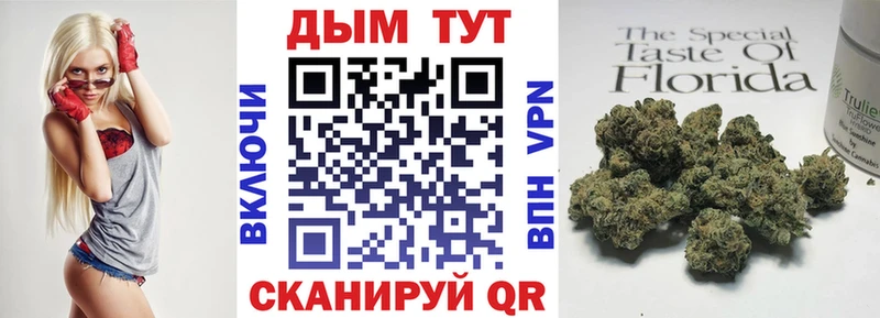 Конопля гибрид  Островной 